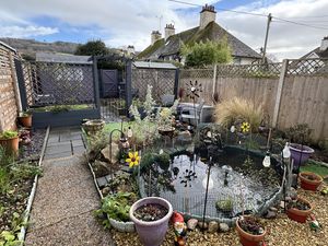 Photo 3- click for photo gallery